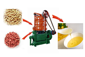 Soya Meal Manufacturer And Exporter In India