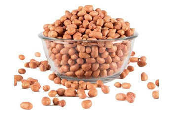 Soya Meal Manufacturer And Exporter In India