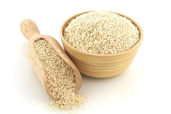 Soya Meal Manufacturer And Exporter In India